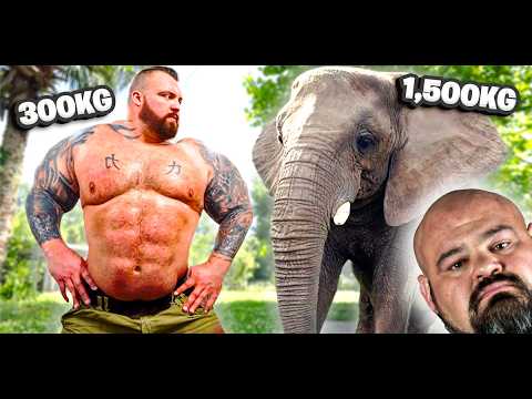 STRONGMAN Swims with ELEPHANTS & Chimps! | ft Brian Shaw