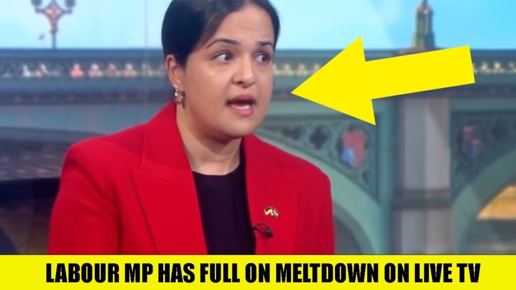 Labour MP Has FULL ON MELTDOWN In Illegal Immigration Debate On Live TV!
