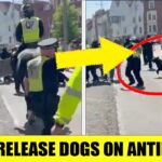 UK Police UNLEASH DOGS on Violent ANTIFA Mob – Avon & Somerset Show How It’s Done!