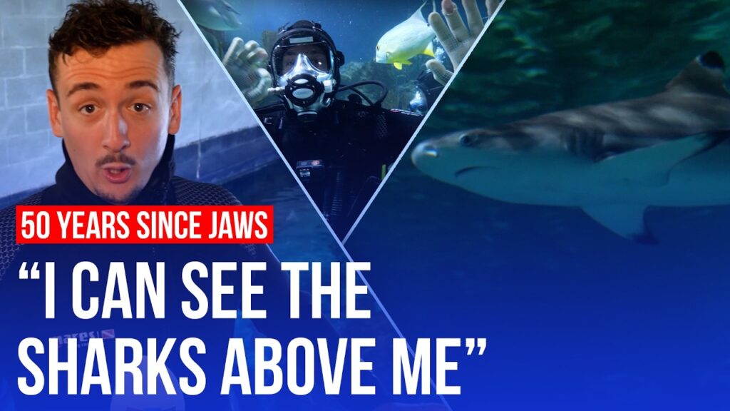 Frightened reporter swims with sharks: 50 years since Jaws | LBC