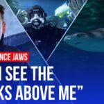 Frightened reporter swims with sharks: 50 years since Jaws | LBC