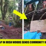 “Parents HORRIFIED by ‘Birthday Party’ Trap in Irish Woods By ‘Migrant Man’ Community on HIGH ALERT