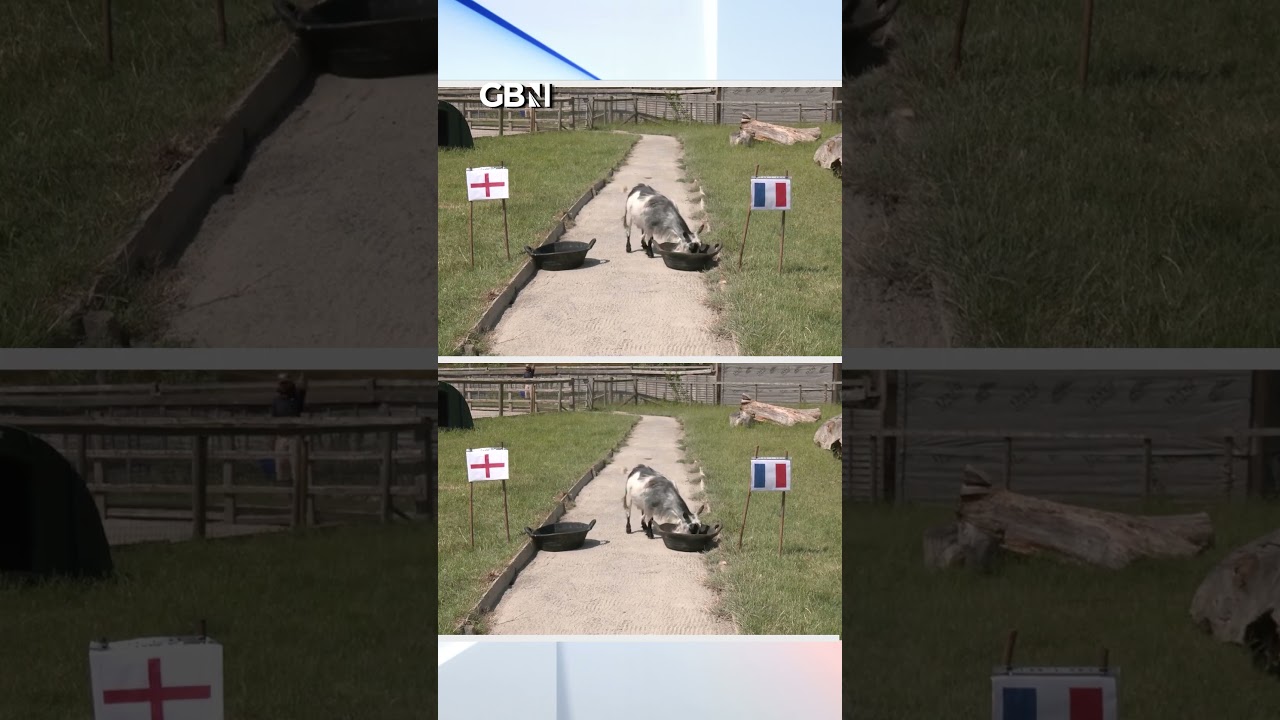 England Women’s Euro 2025 PREDICTED… by a psychic GOAT?