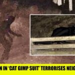 UK Locals Left TERRIFIED As Mystery Man In ‘Cat Gimp Suit’ Terrorises Neighbourhood!