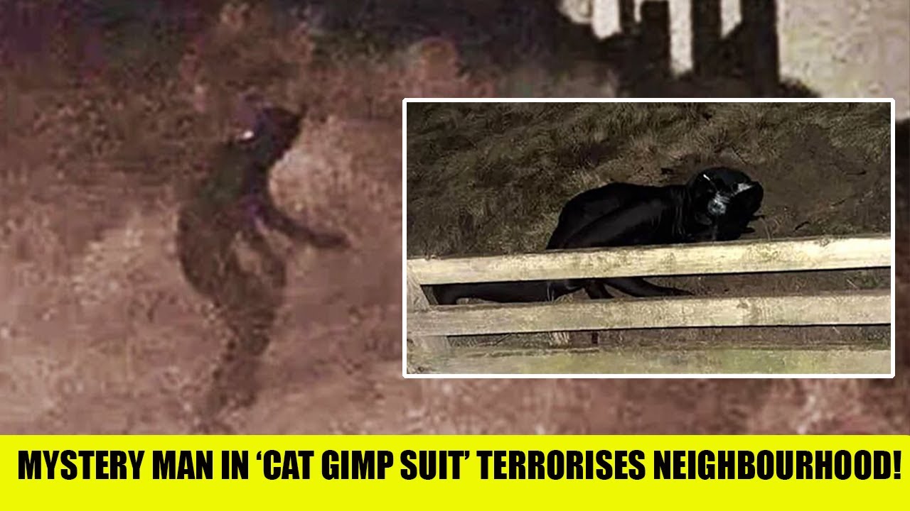 UK Locals Left TERRIFIED As Mystery Man In ‘Cat Gimp Suit’ Terrorises Neighbourhood!