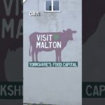 FREE TO PEE: Councillor launches campaign to stop ‘SECRET” plans to charge public to use the toilet